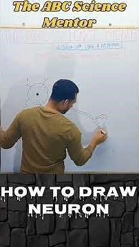 Draw a Neuron Like a Topper! 🔥|class 10th| #scienceart #biology #cbse #upboard #exam #2025 ”