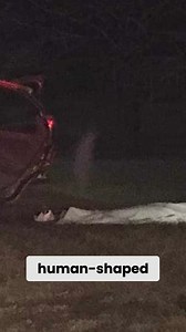 862K views · 31K reactions | ghost in wreck photo #scaryvideos #paranormalstories #scarystories #hauntings | Disbelief Paranormal Official | Facebook