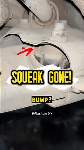 Squeaky Suspension? FIX IT! #car #mechanic