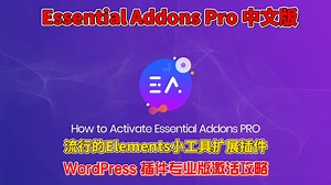 Essential Addons Pro 汉化中文版最流行的Elements小工具扩展WordPress插件激活攻略