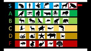 The Truth About Amphibians: One Species Breaks the ‘Low-Tier’ Myth