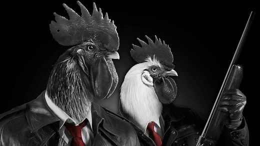 TESZT: Chicken Police