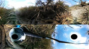 360 Degree View Inside Rattlesnake Den