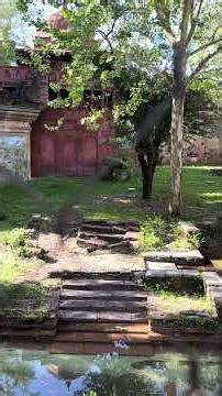 The tiger moving around at Animal Kingdom. #Nature #Wildlife #Tiger