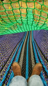 29 reactions | It's a perfect day here at the farm! Open until 5pm today. More details at arbordayfarm.org | Arbor Day Farm | Facebook