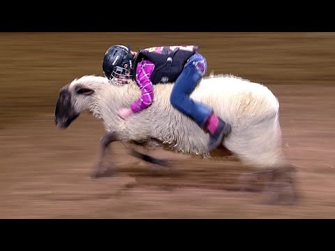 Mutton Bustin' highlights | San Antonio Rodeo | Feb. 14, 2022