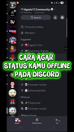 Cara Buat Kamu Offline Pada Discord! #tutorial #belajar #internet