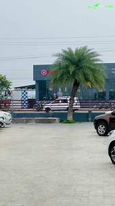 2.3K views · 107 reactions | After a big trauma AM CARS is safely back to work and Office is Open  Do support us as you do always..THANK YOU珞 . Kindly Contact: 8270701314, 6384441314, 6384411314 | A.M CARS-Tirunelveli | Facebook