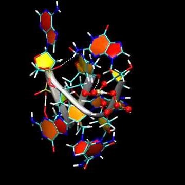 Überraschender Platzwechsel in DNA-Bausteinen - Ab-initio-Molekulardynamik-Simulation