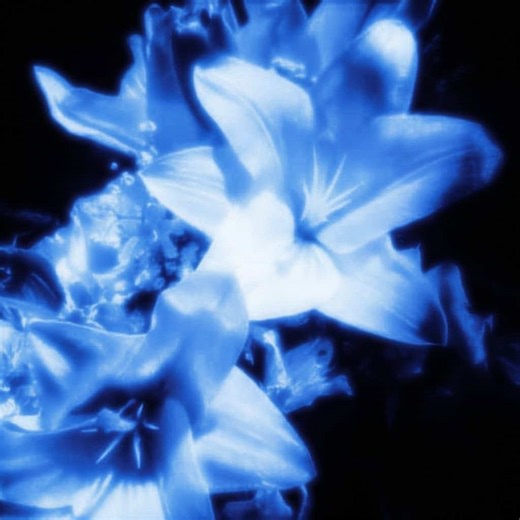 GIT CZY NIE??🙀💍 #rants #wybijsieplis😻 #dc #rantss #jestok