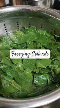 Let us freeze collards #collardgreens #freezingfood ‪@homemakingwithdenise‬ #keepposting