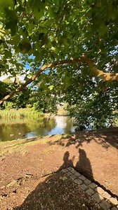 134K views · 4.3K reactions | A random lazy weekend vlog❤️ | Darlious Beauty | Facebook