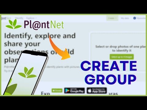 How to Create Group in Plant Net 2026?