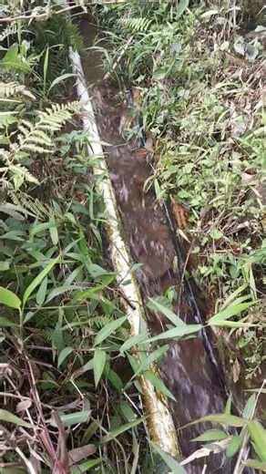 The sound of rushing water in the gutter relieves stress!! Try listening to it!!#short