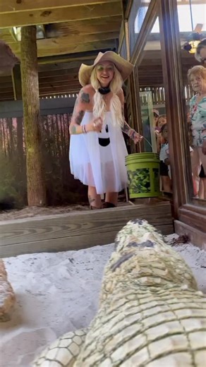 🐊💥 LOOK HOW BIG HE IS!!! 💥🐊 This is Feroz, one of the largest leucistic alligators in the world (side note there are only 8 on the world)— and he lives right here at Gatorland, the Alligator Capital of the World! 🤍👑 Watch as Savannah steps in for a feeding with this absolute legend — and just look at the power behind that bite! 😳💪 Have YOU ever seen a giant white alligator like this in Florida? Tag a friend who needs to see him and SHARE this video to show the world how incredible these 