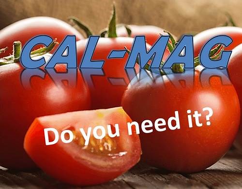 Cal-Mag for Plants - What Is It and Do You Need It?