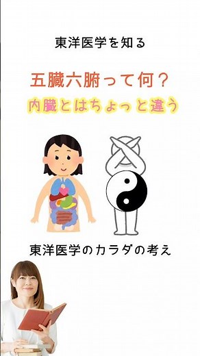 五臓六腑って何？内臓の事じゃない！東洋医学のカラダの考え#東洋医学#漢方#陰陽五行#薬膳