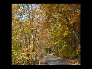 ZARD　隠れた名曲選　20曲+1【ほぼサビだけメドレー】