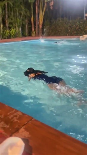 I'll show you how to swim! 🏊‍♂️ #swimming
