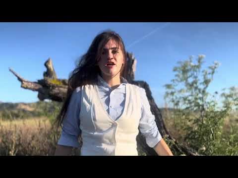 Music Video Project: "Devil Went Down to Georgia" by Evera, Sofía Teresa , and Emory
