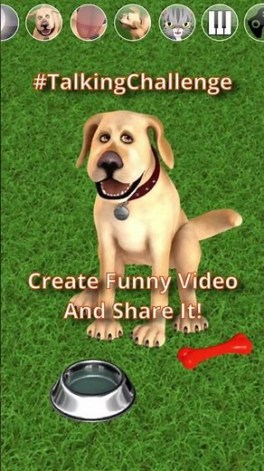 The ultimate #TalkingChallenge with Talking John Dog! 🐾🔥 #talkingjohndog