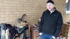 21K views · 514 reactions |  We brought 20,000 bags of our Rembrandt Blend bulbs from Holland, we now have only 2,500 left! ❤️ THANK YOU Ottawa & ALL of Canada for your Support for the Tulip Tradition! ⏲️ 2 Local Pick Up Dates Remain, Tues Nov 17 & Thurs Nov 19 in Alta Vista and Orleans! | Canadian Tulip Festival - Festival canadien des tulipes | Facebook