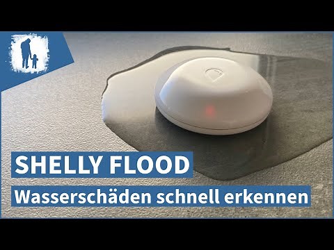Shelly Flood einrichten: Flexibler Wassersensor für jeden! Erfahrungen & Anleitung