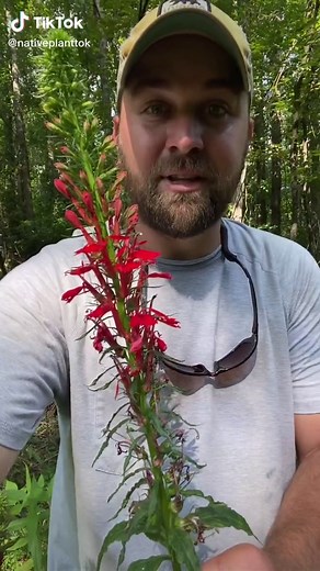 Kyle Lybarger on TikTok