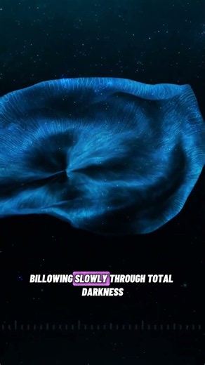 A Real "Ghost" Was Filmed 3,000 Ft Deep 👻