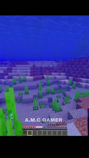 🤯 Secret Minecraft Command You Must Try! | #minecraft #gaming