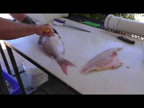 How to Fillet a Pink Snapper