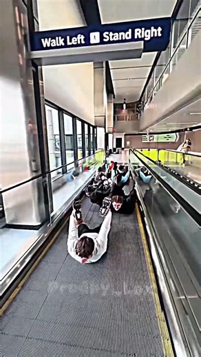 Rate this trend with 3 emojis 🔥| Sea lion trend #shortsfeed #yunomiles #dance #sealion