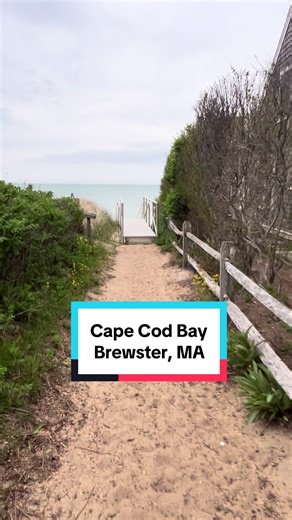 CapeCodBeachLife on TikTok