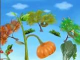 BabyTV - Look Around You 2 (english).mp4