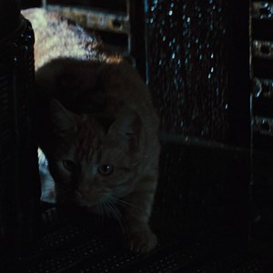 #CONCURSO: Celebra el #AlienDay con un pase de cine exclusivo: #ALIEN (1979) adelanto de ALIEN: COVENANT. Más info: http://po.st/Alien1979 | ALIEN: COVENANT