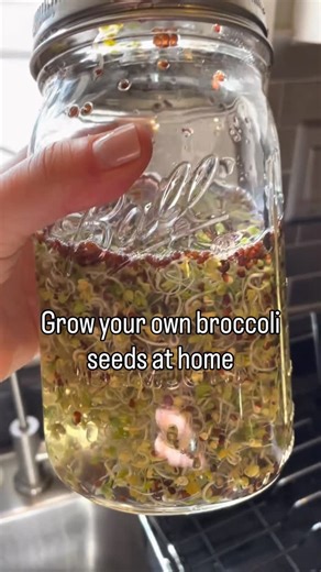 🌱 DIY Broccoli Sprouts at Home (It’s WAY Easier Than You Think) One of my favorite low-cost, high-impact things you can do at home 👇 All you need is: • A mason jar • Broccoli sprout seeds • Water • A mesh or breathable lid How to do it: 1️⃣ Add 1–2 tbsp broccoli sprout seeds to your jar 2️⃣ Cover with water soak overnight 3️⃣ Drain, rinse, and flip the jar upside down 4️⃣ Rinse 2x daily 5️⃣ In 5-6 days… BOOM 🌱 fresh sprouts Then just blend them up or sprinkle them into: ✔️ Smoothies ✔️ Soups 