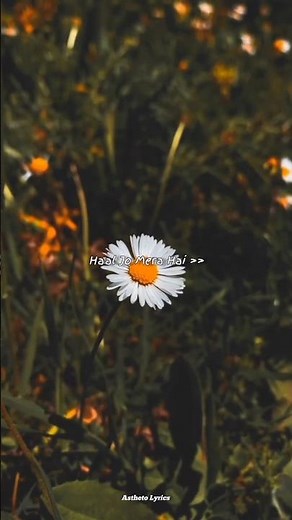 ❤️ Sahiba – Aesthetic Lyrics Shorts | Trending | Song Lyrics | #shorts