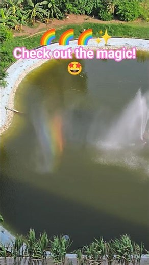 Splash of rainbow magic🌈✨on a dancing fountain#shortsfeeds#shorts#shortvideo#trendingshorts#evening