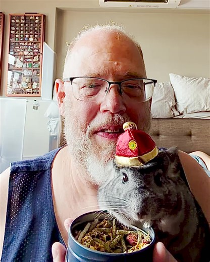 Churro: “Getting ready for Chinese New Year and wearing my festive attire like a proper floof princess. I wish everyone good fortune, happiness, and plenty of treats.” 🐭👑🧧 #churrochatter #chinchilla #cutepets #petprincess #lunarnewyear