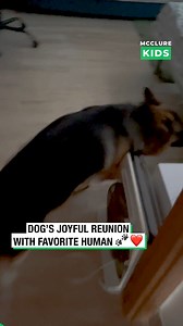 Dog’s Joyful Reunion with Favorite Human 🐾❤️ | McClure Kids
