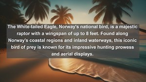 Exploring Norwegian Avian Wonders: Top 10 Native Birds