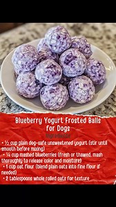 Merry & Treat-Filled Soft, tasty, and made with simple ingredients your pup will love. Perfect for sharing holiday joy with every bite. | Homemade Dog Food Recipes