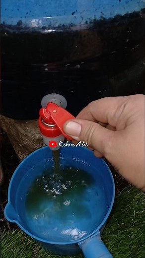 Turn Kitchen Scraps into Liquid Gold: DIY Organic Compost Tea‼️ #organicfertilizer