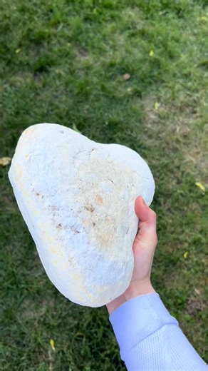 32K views · 335 reactions | Making fire from Flint and Steel! #flintandsteel #survival #asmr #mi... | Lava Bladez | Facebook