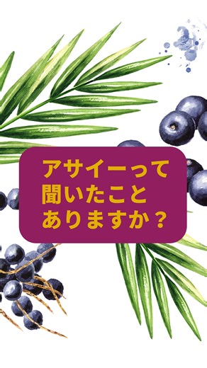 駐日ブラジル大使館 on Instagram: "「アサイー」って聞いたことはありますか？ アマゾン原産の果物で、スーパーフードとしても知られています。 アサイーは、主にブラジルを中心とするアマゾン地域に由来する植物、アサイーの木から採れる果物です。 濃い紫色をした小さな果実で、ブラジル北部で伝統的に親しまれてきましたが、その高い栄養価から、現在では国内外で広く知られるようになっています。 アサイーには、抗酸化作用や抗炎症作用を持つ成分が豊富に含まれています。 さらに、オメガ6やオメガ9を含む良質な脂質をはじめ、食物繊維、ビタミンCやビタミンE、鉄分、カルシウム、カリウムなどのミネラルも含まれています。 では、アサイーにはどのような効果があるのでしょうか。 抗酸化作用をはじめ、心臓や血管の健康のサポート、腸内環境を整える働き、免疫機能の維持、血糖値のコントロール、そしてエネルギー補給といった効果が期待されています。 世界中で話題となっているアサイーについて、 これからも私たちのSNSで情報を発信していきます。ぜひチェックしてみてください！ #açaí #アサイー #ブラジル産アサイー 