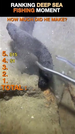 Ranking Deep Sea Fishing Moments#DeepSeaFishing #Fishing #Lobster