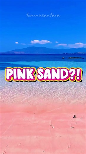 This Pink Beach in Indonesia Looks Fake 😳 #shorts #pinkbeach #travel