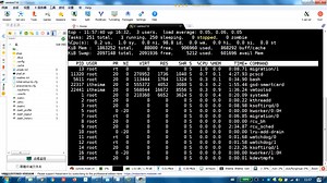 185-top命令详解（上）