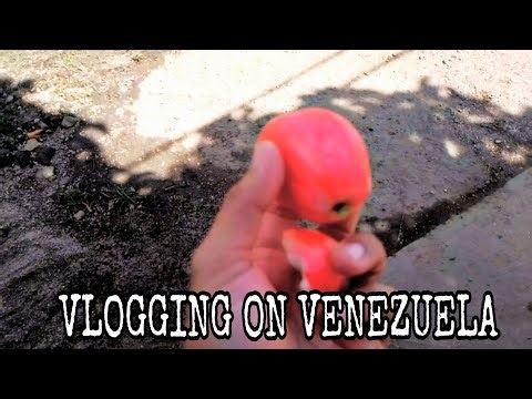 I went out without a plan and this happened 🇻🇪 | Walking and driving | Real vlog | Semper Erik