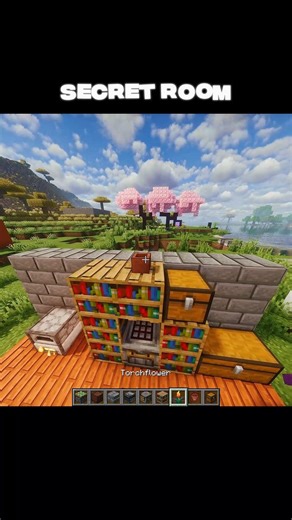 Secret Room Minecraft #shorts